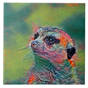 AnimalMix_Meerkat_009 Tile