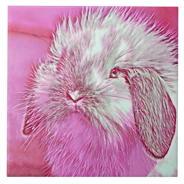 AnimalMix_Rabbit_008 Tile (Front)