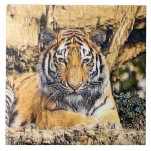 AnimalMix_Tiger_009 Tile