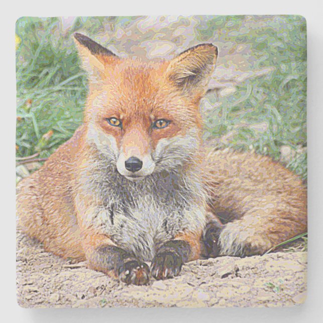 AnimalPaint_Fox_20171201_by_JAMColors Stone Coaster (Front)
