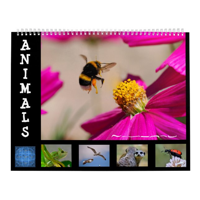 Animals 12 month calendar (Cover)