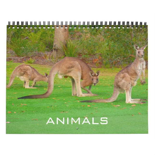 animals 2027 calendar (Cover)