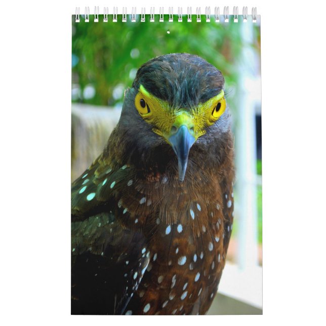 Animals and Pets Calendar (Cover)