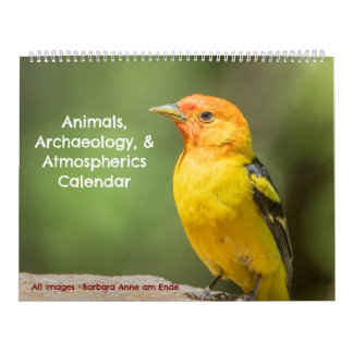 Animals, Archaeology, and Atmospherics Calendar