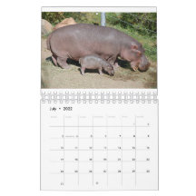 Animals around the world 5.5" x 7" 2021 calendar