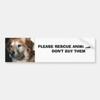 Animals       ... bumper sticker