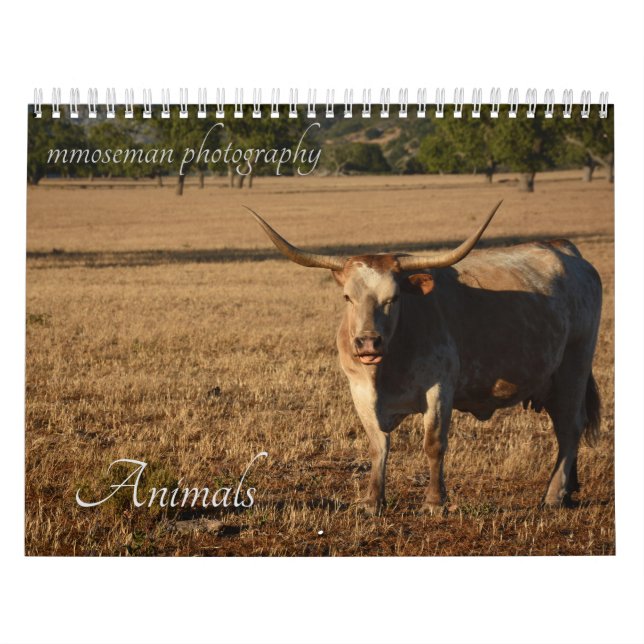 Animals Calendar (Cover)
