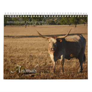 Animals Calendar