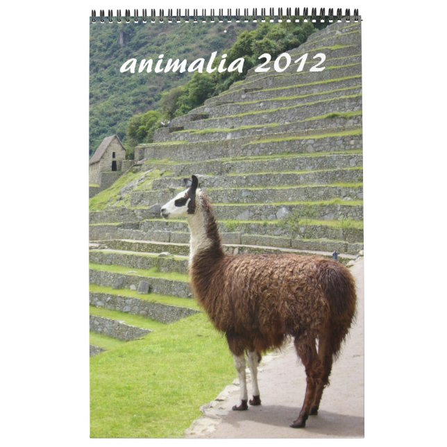 animals calendar 2012 (Cover)