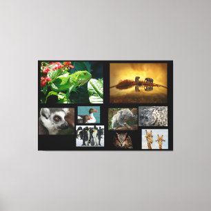 Animals Canvas Print
