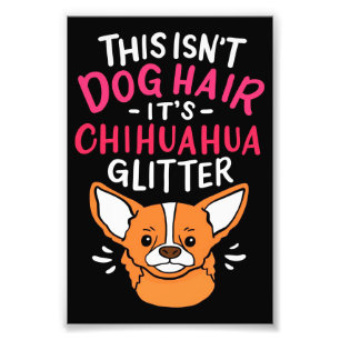 Animals Canvas Wall Art Chihuahua Dog