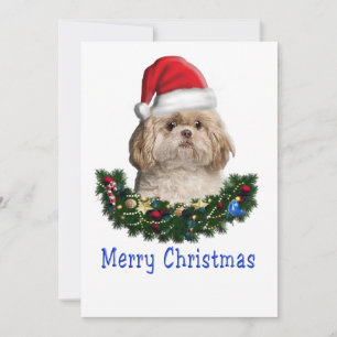 Animals Christmas Holiday Card