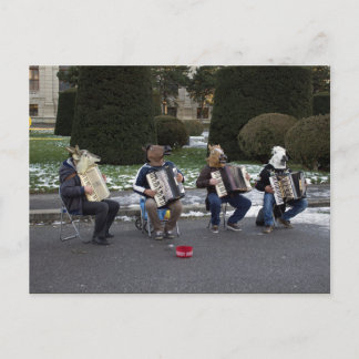 Animal's Concert Postcard