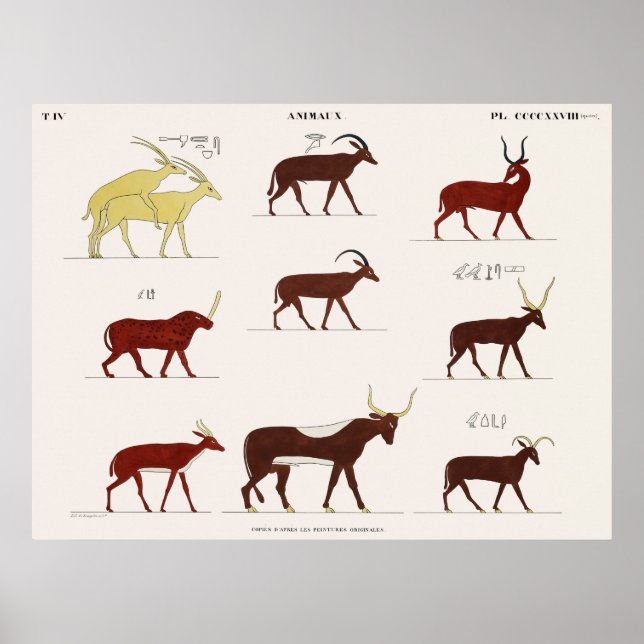 Animals copied from the original paintings poster (Front)