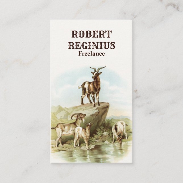 Animals Goats Vintage Art Business Card (Front)