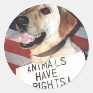 Animals Have Rights Classic Round Sticker