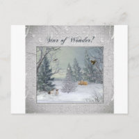 Animals in the Winter Forest, Tree with Star, Star