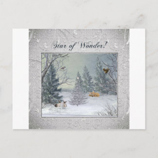 Animals in the Winter Forest, Tree with Star, Star Postcard