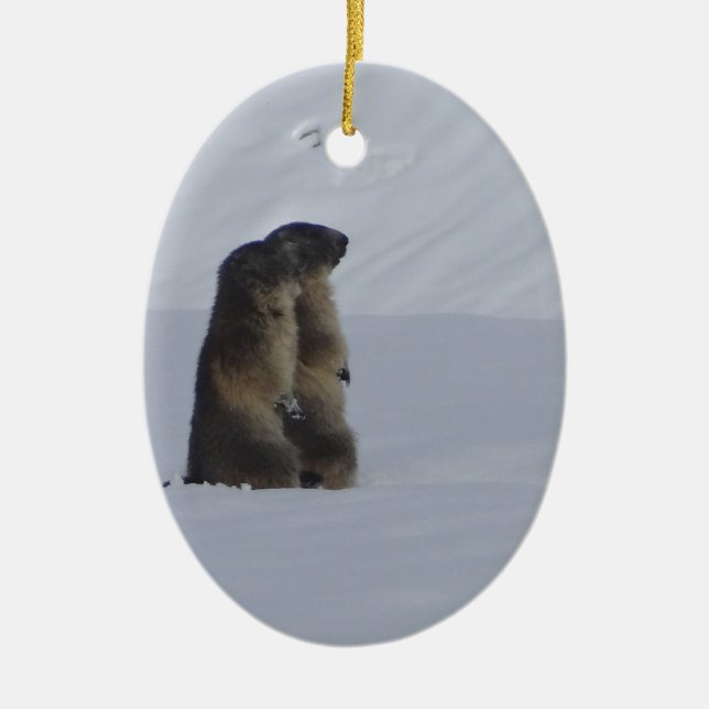 animals marmots savage ceramic tree decoration (Front)