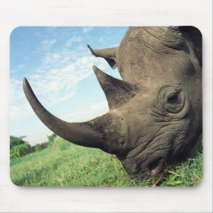 Animals Mousepad 104