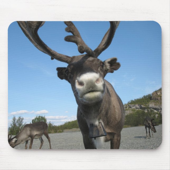 Animals Mousepad 63 (Front)