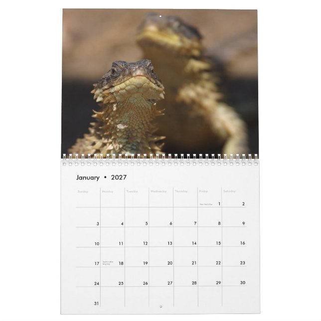 Animals & Nature Calendar (Jan 2027)