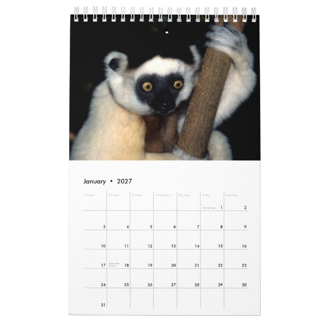 ANIMALS of Africa Calendar 2015 1-Pg. (Jan 2027)