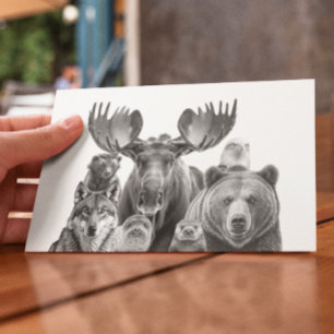 Animals of Alaska Portrait Bear Moose Wolf Postcard