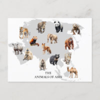 Animals of Asia