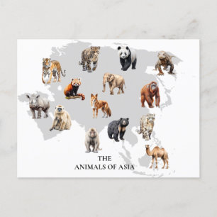 Animals of Asia Postcard