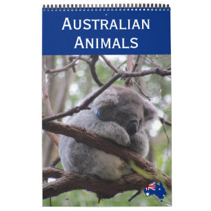 animals of australia 2026 calendar