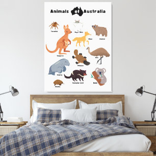 Animals of Australia Aussie Wildlife Canvas Print