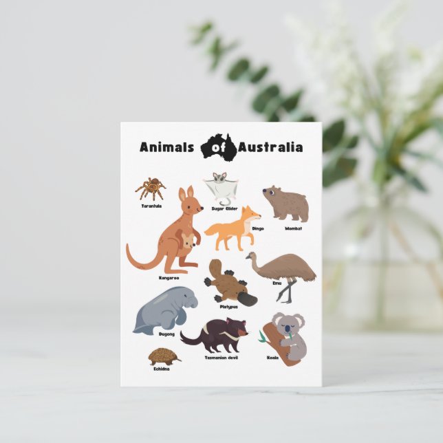 Animals of Australia Aussie Wildlife Postcard (Standing Front)