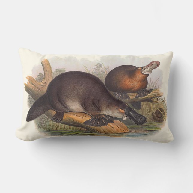 Animals Of Australia Cushions (Front)