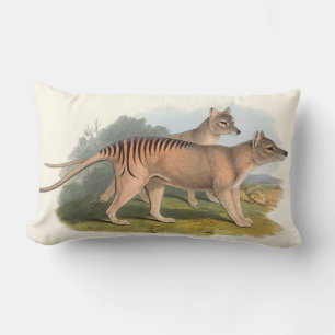 Animals Of Australia Cushions