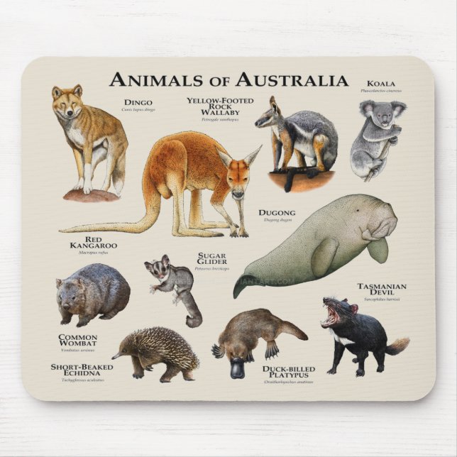 Animals of Australia Mouse Pad (Front)