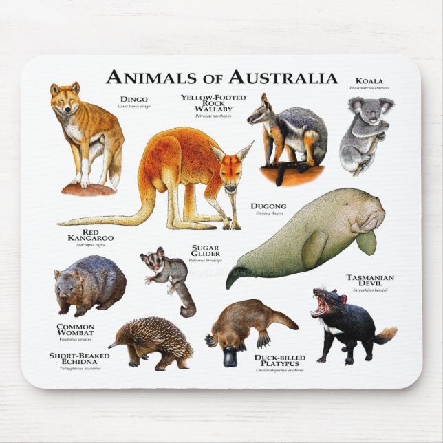 Animals of Australia Mouse Pad (Front)