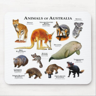 Animals of Australia Mouse Pad