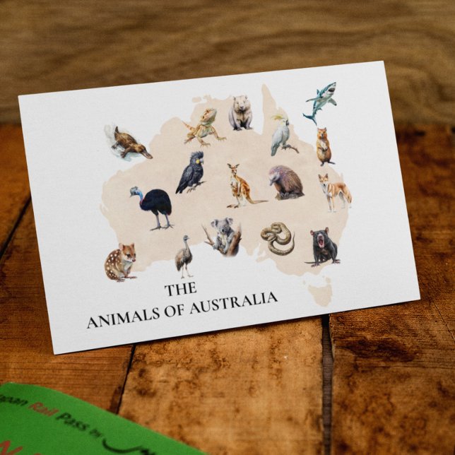 Animals of Australia   Postcard (Creator Uploaded)