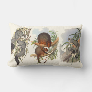 Animals Of Australia The Three Possums Cushions