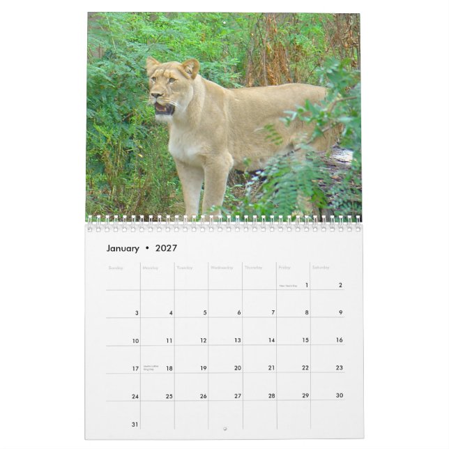 Animals of Brookfield Zoo Calendar (Jan 2027)