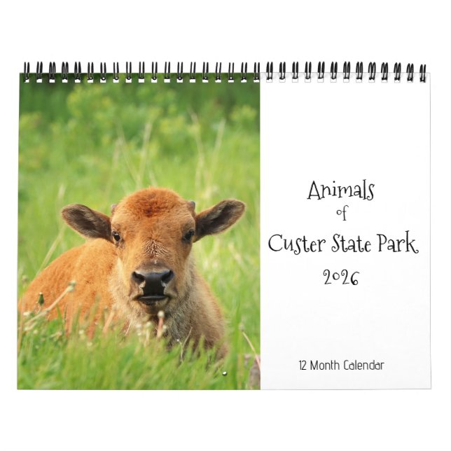 Animals of Custer State Park 2026 Calendar (Cover)