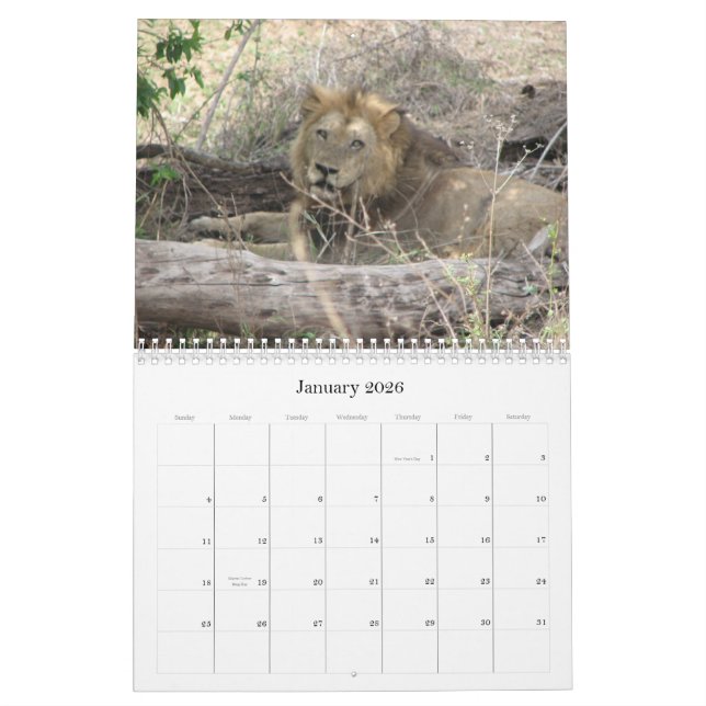 Animals of South Africa Calendar (Jan 2026)
