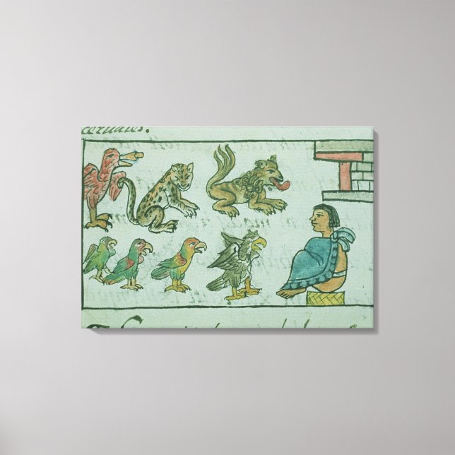 Animals of the Aztec Emperor Canvas Print (Front)