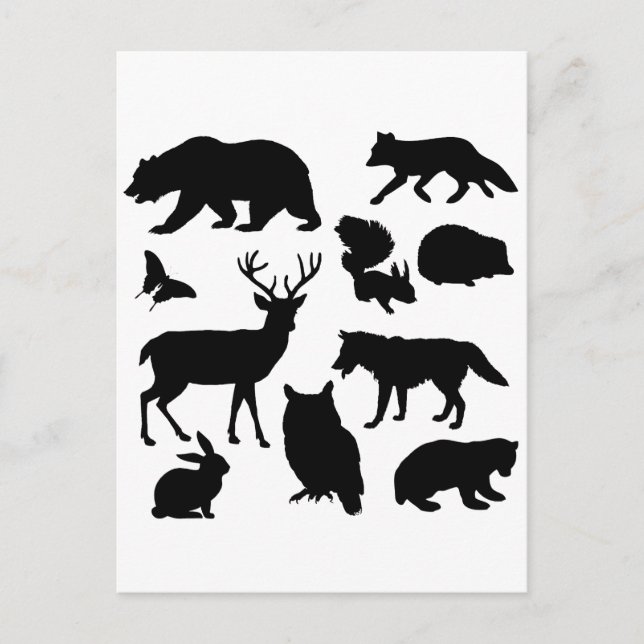 Animals Of The Forest, Wildlife Postcard (Front)