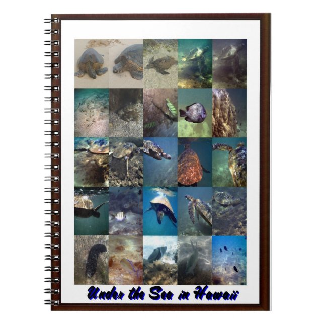 Animals of the sea spiral notebook (Front)