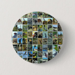Animals of the world 6 cm round badge