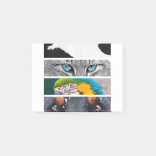 Animals Pets Cat Cow Cows Spotted Parrot Bird Post-it Notes