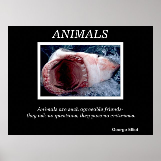 Animals  Posters 28 (Front)