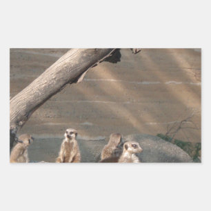 Animals Wild Mammals Meerkat Rectangular Sticker